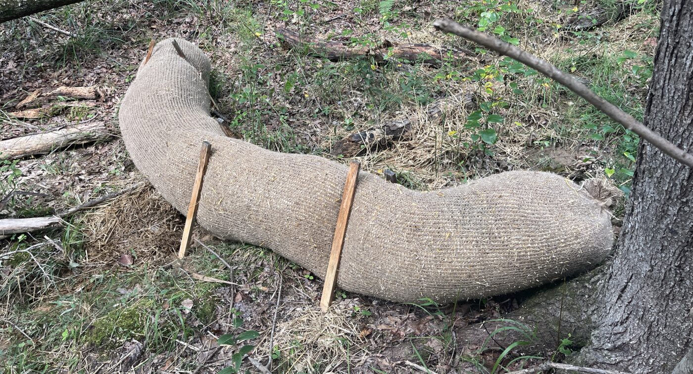 Ninety7 wattle installed in a protected wooded buffer zone